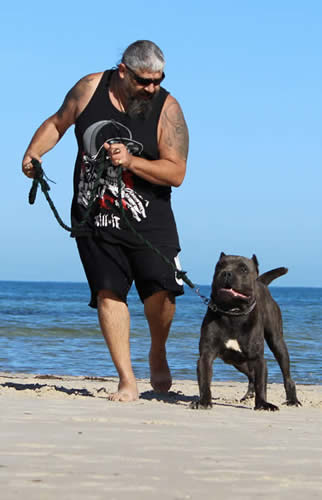 Vittorio Ducatti Di Sirmium Guard