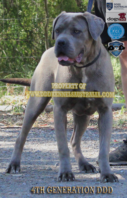 DDD TUTTO CIO CHE DESIDERI