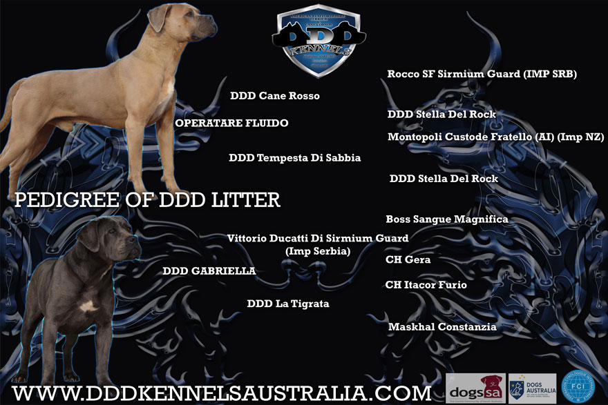 DDD OPERATARE FLUIDO & DDD GABRIELLA UPCOMING MATING