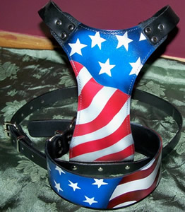 HARNESS  AND MATCHING COLLAR